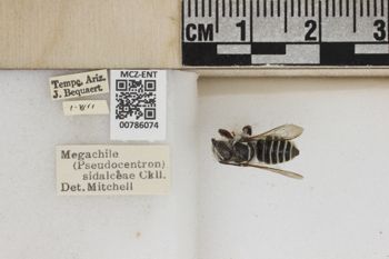 Media type: image;   Entomology 786074 Aspect: Labels